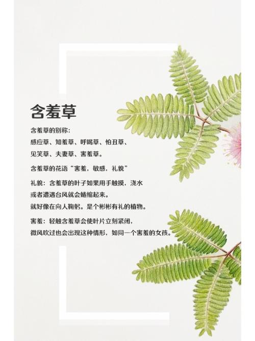 极品人妻口爆颜射的相关介绍