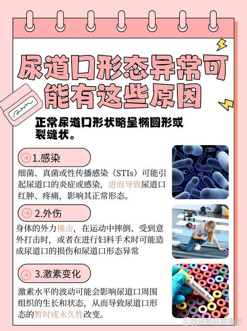 欧美成人一级在线的相关介绍