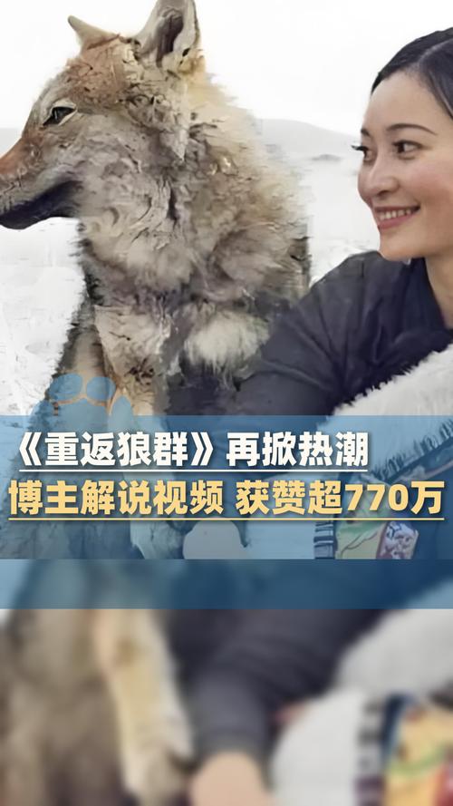 根据您的需求，生成的SEO标题如下：

**五一电影院上映电影推荐：2025五一档新片指南（热门排片/票房口碑/观影攻略）**

**包含的长尾关键词：**
1. 五一档新片指南
2. 热门排片
3. 票房口碑
