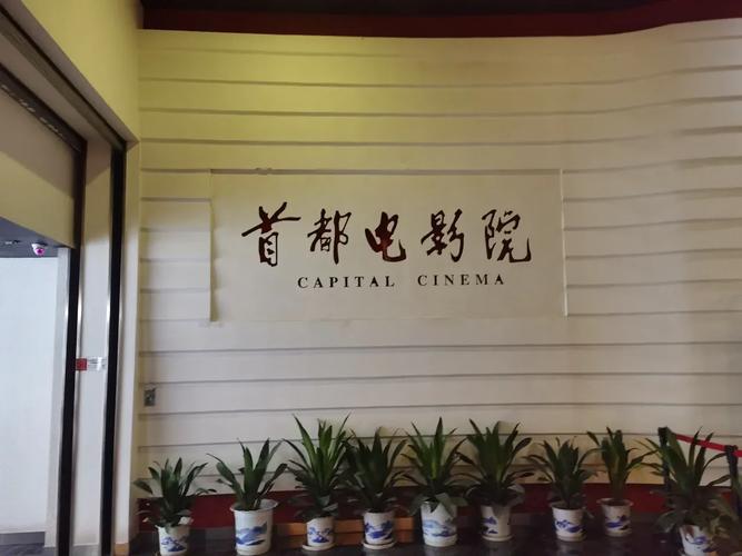 根据台湾电影院生成的SEO标题：  
**2025台湾电影院热门新片推荐 | 台北威秀影城场次查询、高雄IMAX票价优惠**  
（长尾关键词：台北威秀影城场次查询、高雄IMAX票价优惠、台湾电影院热门新片推荐）