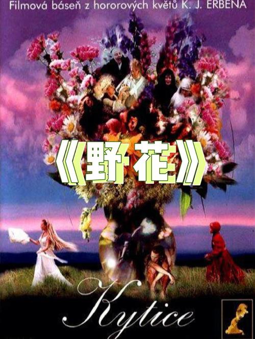 六六影院 - 最新热播电影电视剧免费在线观看 | 高清无广告追剧平台 | 宅家必备观影指南