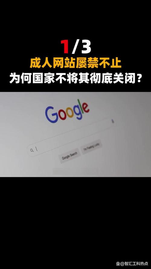 成人av毛片网的相关介绍