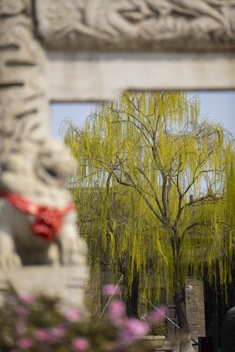 悟空影院神马影院免费在线观看 - 最新电影电视剧高清全集抢先看，无需VIP畅享全网资源