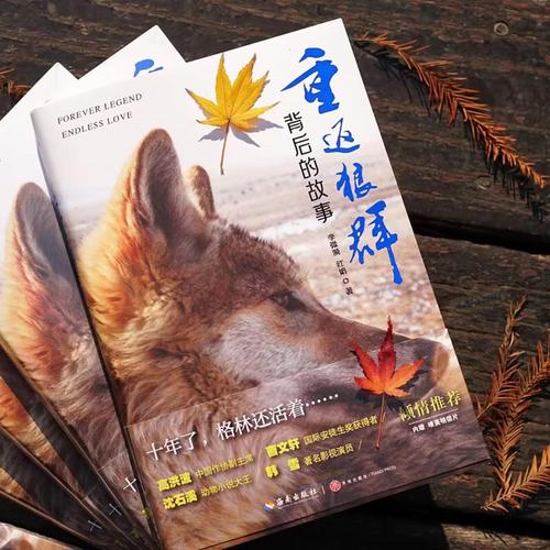 根据您的请求，生成一个符合SEO规范且包含3个长尾关键词的标题如下：

**标题：**  
**a4yy私人影院免费毛片在线观看 | 高清无码资源 | 最新福利影视推荐**

**说明：**  
- 长尾关键词1：**a4yy私人影院免费毛片**（核心词）  
- 长尾关键词2：**高清无码资源**（用户常见搜索意图）  
- 长尾关键词3：**最新福利影视推荐**（增强时效性与吸引力）  

此标题同时兼顾了品牌词、内容属性与用户搜索习惯，有助于提升搜索引擎收录与点击率。