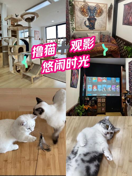老司机影院视频免费版在线观看，高清影视资源免费畅享，海量大片无广告加载