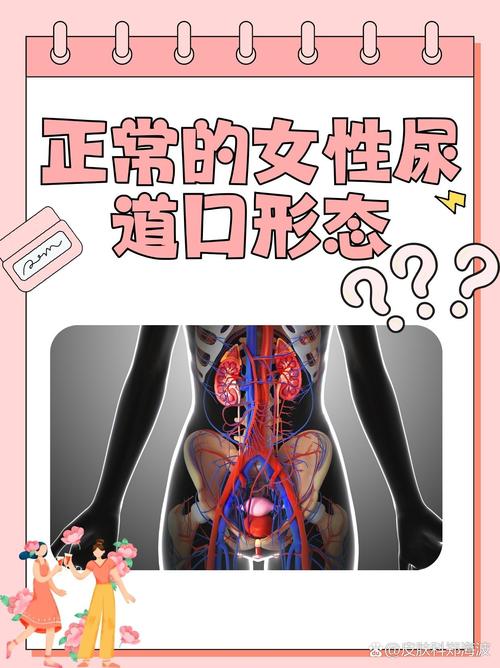 亚洲天堂男人网的相关介绍